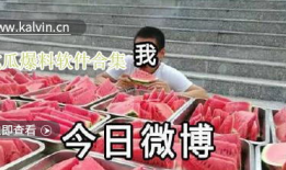 吃瓜最新爆料视频大全集,最新爆料视频大全集深度解析