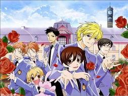 动漫学校,探索动漫学校的魅力与未来